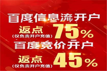 百度竞价排名策略优化：某公司广告投放效果翻倍的秘诀